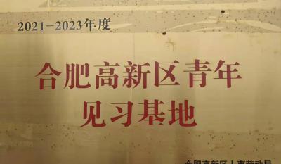 合肥星际娱乐获批建设合肥高新区青年见习基地